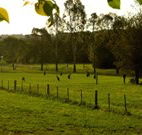 Stone Cottage Mittagong - Northern Rivers Accommodation