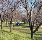 Worrowing Boat Shed - Northern Rivers Accommodation