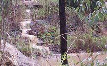 Yester Grange Cottages - Northern Rivers Accommodation 2