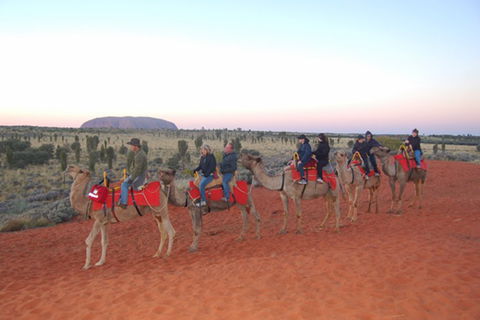 Ayers Rock - Outback Pioneer Lodge - Northern Rivers Accommodation 1
