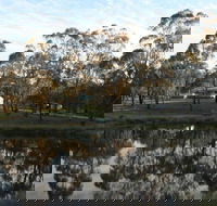 Greysen Farmstay - Northern Rivers Accommodation