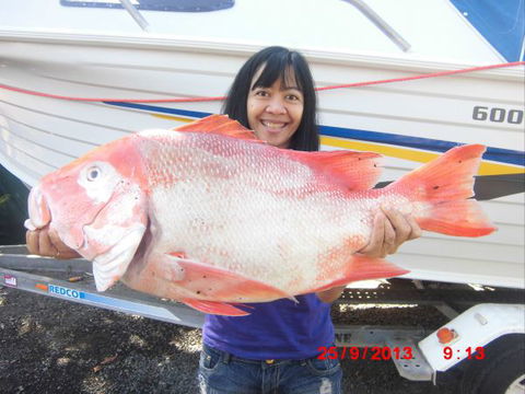 Flying Fish Point Tourist Park - Northern Rivers Accommodation 6