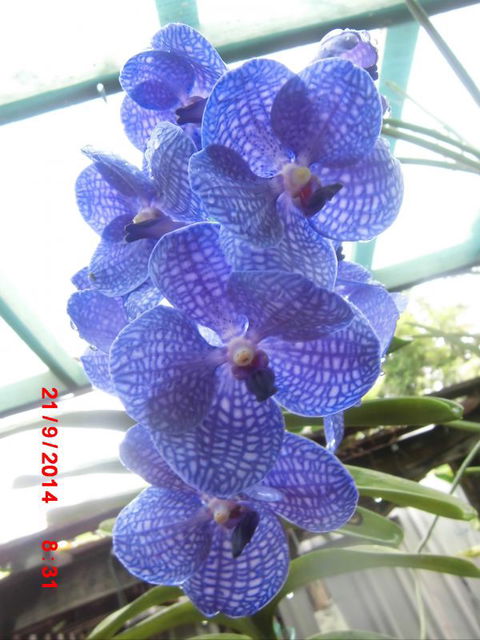 Flying Fish Point Tourist Park - Northern Rivers Accommodation 8