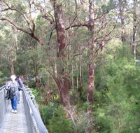 Walpole YHA - Northern Rivers Accommodation