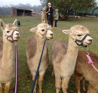 Bunyip Springs Farmstay - Northern Rivers Accommodation