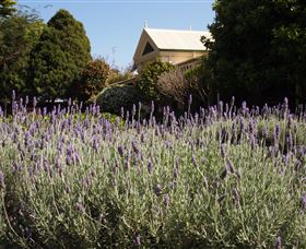 Vacy Hall Toowoomba's Grand Boutique Hotel Since 1873 - Northern Rivers Accommodation 1