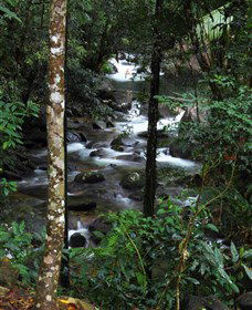 Daintree Secrets Waterfall Sanctuary - Northern Rivers Accommodation 1