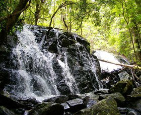 Bellthorpe Stays - Nature's Retreat - Northern Rivers Accommodation 1