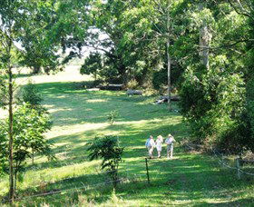 Bellthorpe Stays - Nature's Retreat - Northern Rivers Accommodation 2