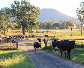 Tommerups Dairy Farmstay - Northern Rivers Accommodation 0