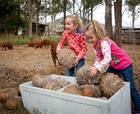 Tommerups Dairy Farmstay - Northern Rivers Accommodation 1