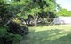 Pialba Beachfront Tourist Park - thumb 3
