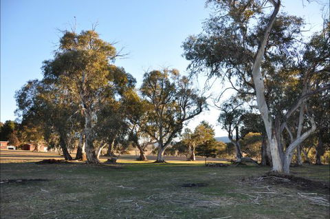 Braemar Bay Holiday Park - Northern Rivers Accommodation 5