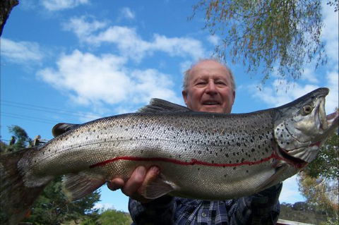 Braemar Bay Holiday Park - Northern Rivers Accommodation 7