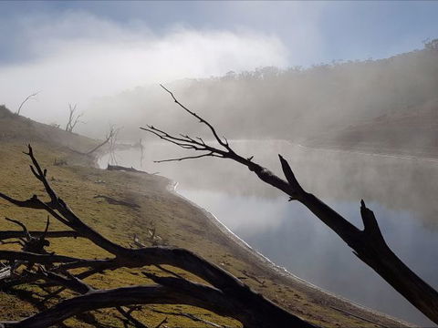 Braemar Bay Holiday Park - Northern Rivers Accommodation 8