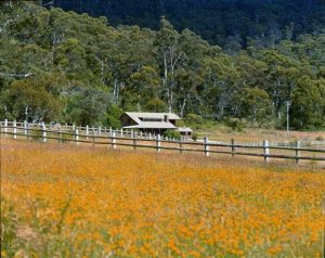 Pender Lea Alpine Guest Accommodation - Northern Rivers Accommodation 1