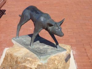 The Ardlethan Kelpie Caravan Park - Northern Rivers Accommodation 0