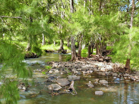 Cockadilly Escape - Northern Rivers Accommodation 0