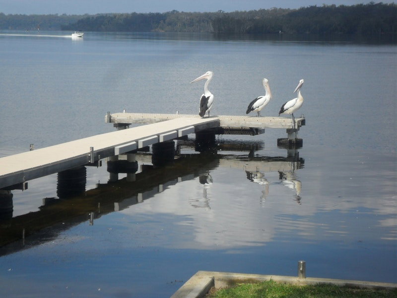 Basin View NSW Northern Rivers Accommodation