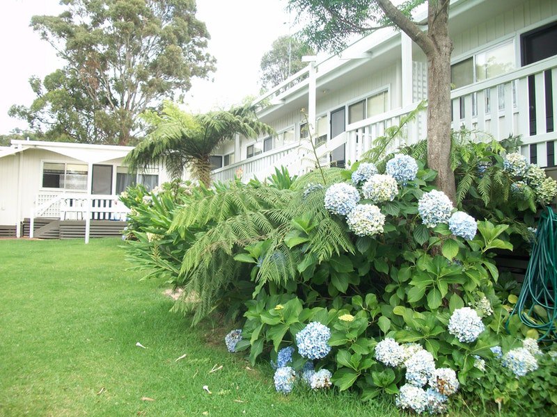 Millingandi NSW Northern Rivers Accommodation