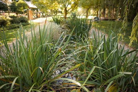 Old Stone House, The - Northern Rivers Accommodation 1