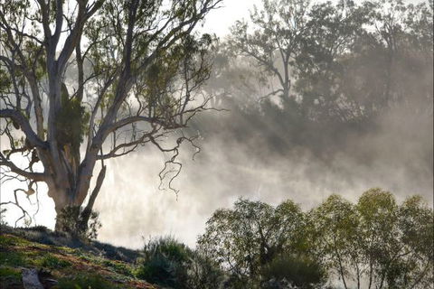 River Shack Rentals - Living The Dream - Northern Rivers Accommodation 57
