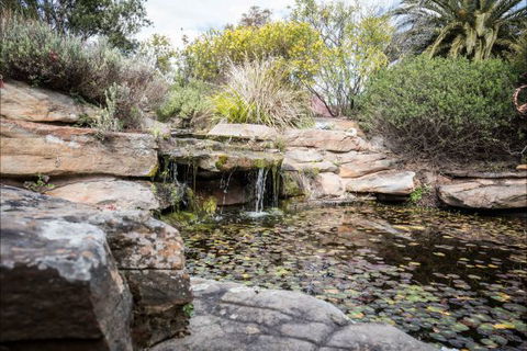 River Shack Rentals - Living The Dream - Northern Rivers Accommodation 35
