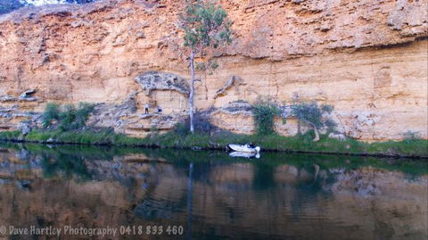River Shack Rentals - Living The Dream - Northern Rivers Accommodation 123