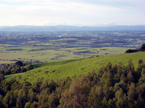 Anderley - Northern Rivers Accommodation 6