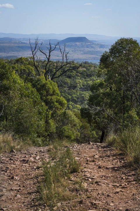 Kroombit Tops National Park Camping Ground - Northern Rivers Accommodation 3