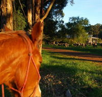 Billa Billa Farm Cottages - Northern Rivers Accommodation