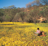 Miners Camp at Coalseam National Park - Northern Rivers Accommodation