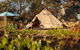 Grapevine Glamping - thumb 0