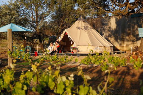 Grapevine Glamping - Northern Rivers Accommodation 0