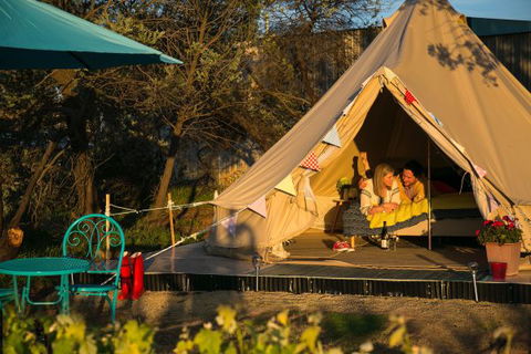 Grapevine Glamping - Northern Rivers Accommodation 5