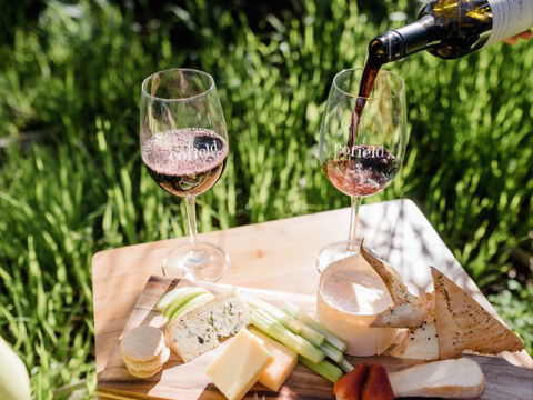 Grapevine Glamping - Northern Rivers Accommodation 8