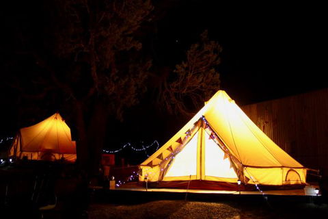 Grapevine Glamping - Northern Rivers Accommodation 9