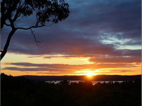 Herons Rise Vineyard Accommodation - Northern Rivers Accommodation 4