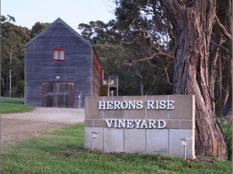 Herons Rise Vineyard Accommodation - Northern Rivers Accommodation 6
