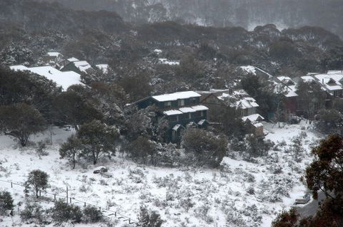 Three Bears 2 - Northern Rivers Accommodation 0