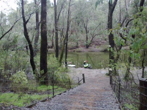Yarragil Camp At  Lane Poole Reserve - Northern Rivers Accommodation 0