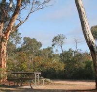Drummonds Camp at Avon Valley National Park - Northern Rivers Accommodation