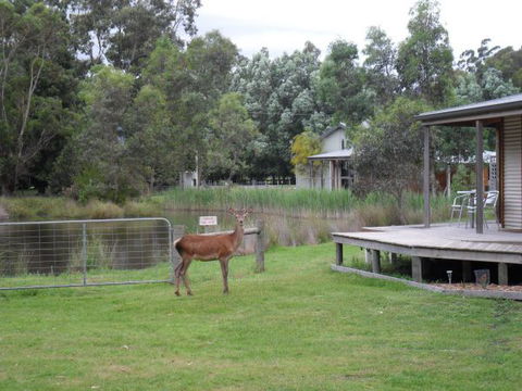 Grampians Chalets - Northern Rivers Accommodation 3