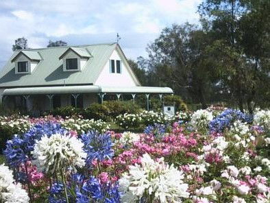 Emmas Cottage Vineyard - Northern Rivers Accommodation 0