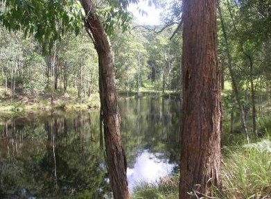 Kemeys At Mandalong - Northern Rivers Accommodation 4