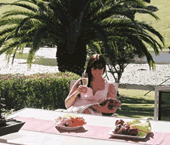 Sunny Hill Retreat Accommodation & Day Spa - Northern Rivers Accommodation 4