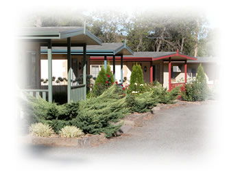 Kapunda Tourist Park - Northern Rivers Accommodation 1