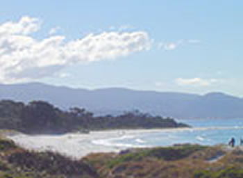 Bicheno On The Beach - Northern Rivers Accommodation 5