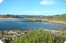 Arthur River Cabin Park - Northern Rivers Accommodation 5