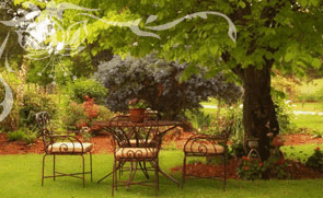 Glencoe Country Bed And Breakfast - Northern Rivers Accommodation 1